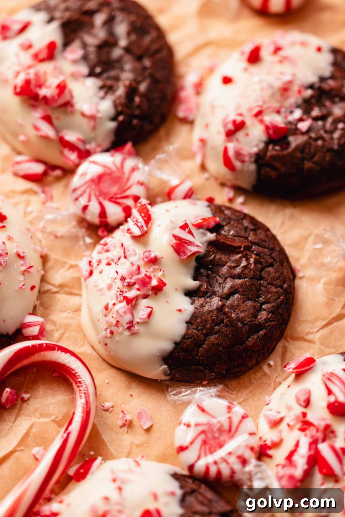 brownie crinkle cookie dipped in peppermint bark, ready to enjoy