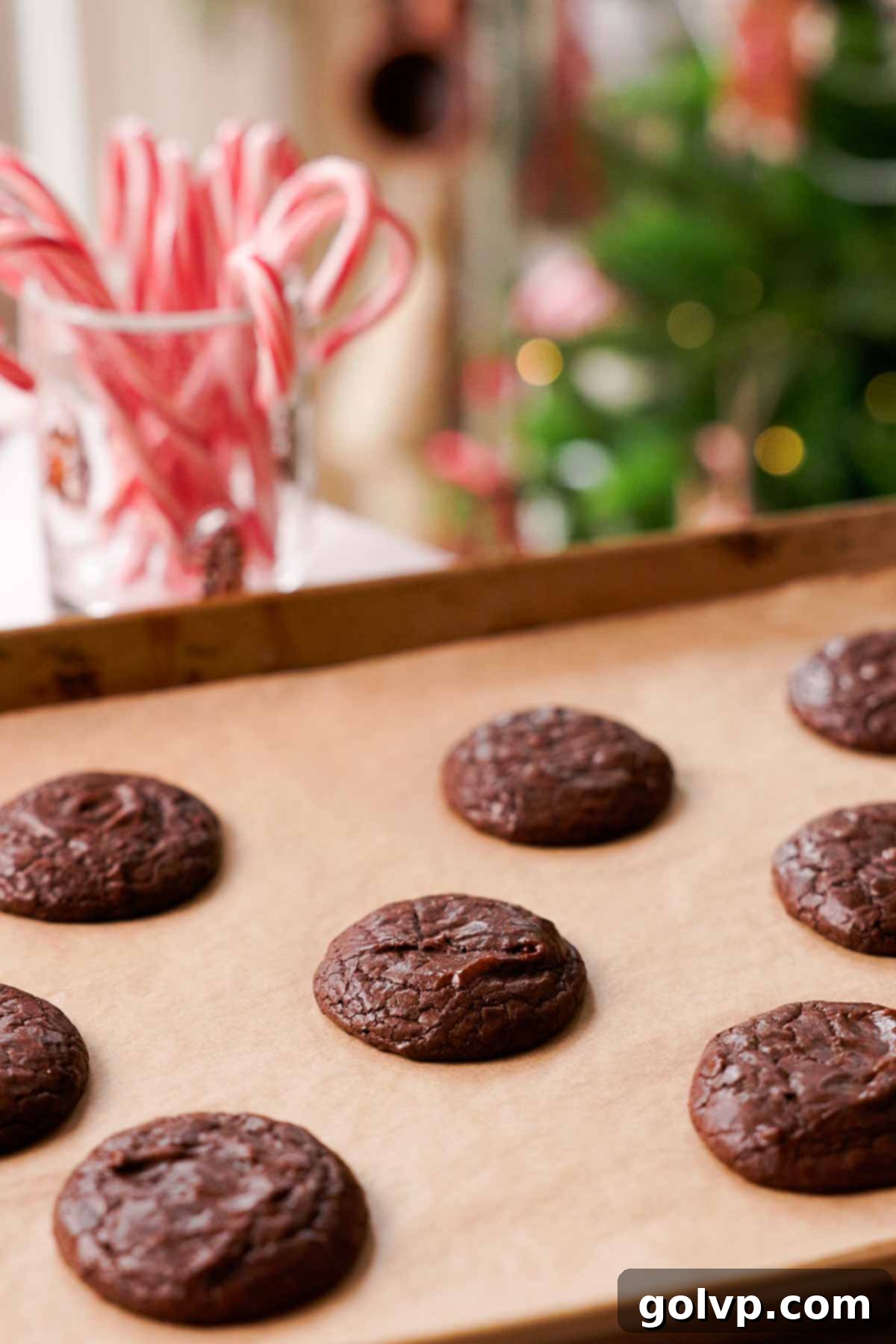 baked brownie crinkle cookies fresh out of the oven on a parchment-lined baking sheet