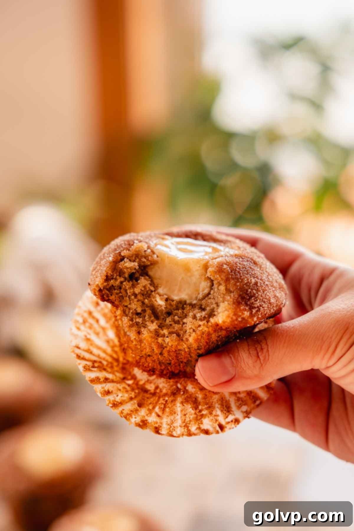 Holding a bitten apple cider muffin to show the creamy cream cheese filling