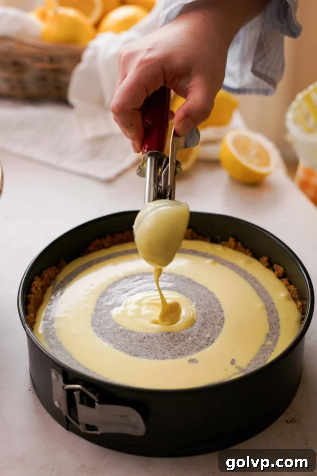 Lemon Poppy Seed Cheesecake Perfection 14 scooping alternating lemon and poppy seed cheesecake batter into springform pan