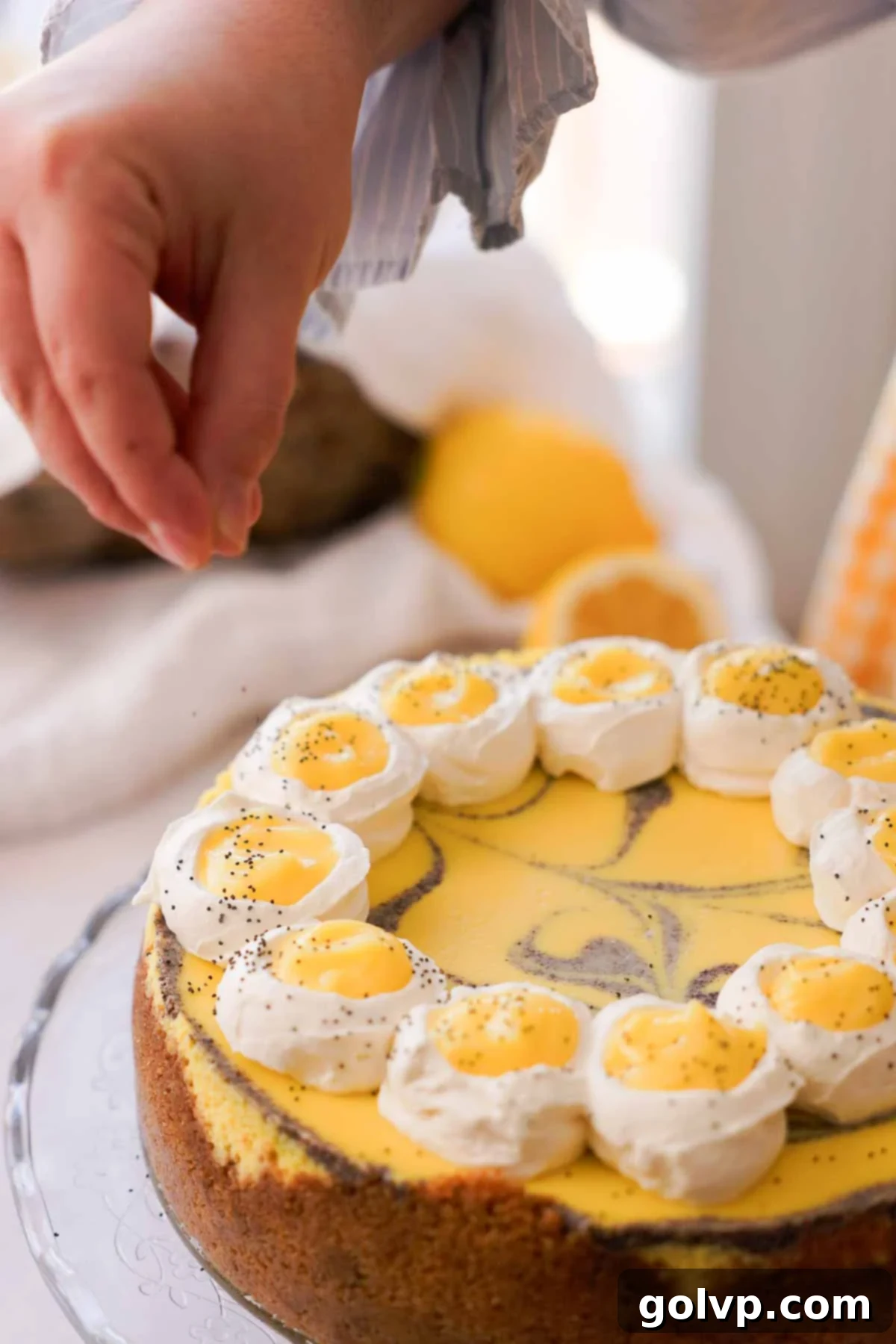 Lemon Poppy Seed Cheesecake Perfection 20 sprinkling poppy seeds on top of cheesecake