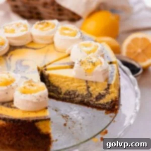Lemon Poppy Seed Cheesecake Perfection 23 lemon poppy seed swirl cheesecake with whipped cream and lemon curd topping