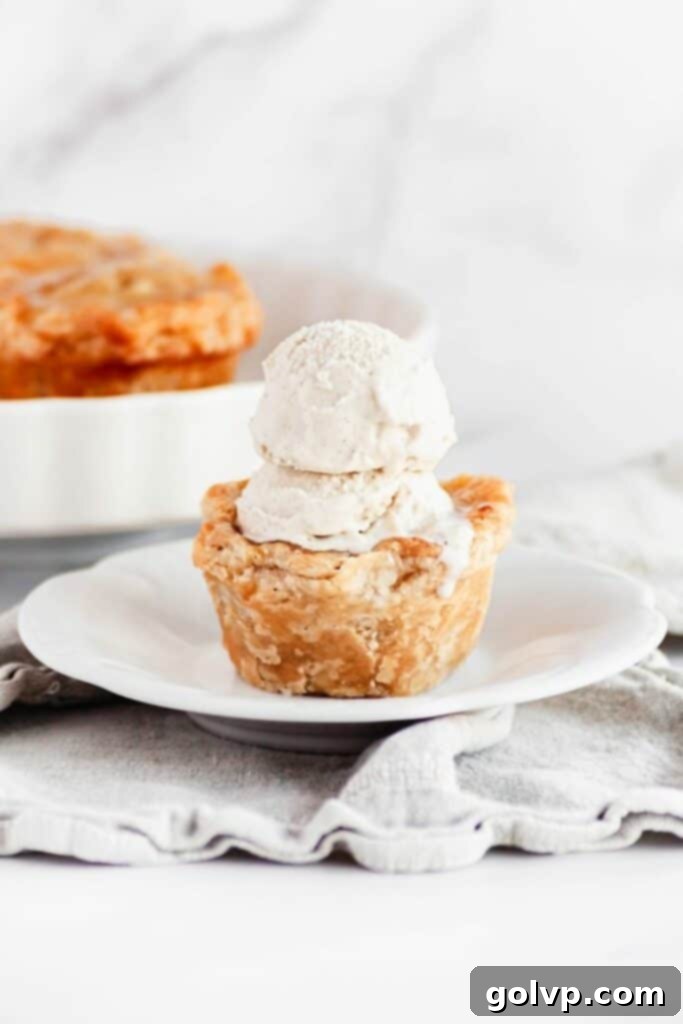 Two mini apple pies on a plate with two scoops of vanilla ice cream and a honey drizzle, ready to be enjoyed.