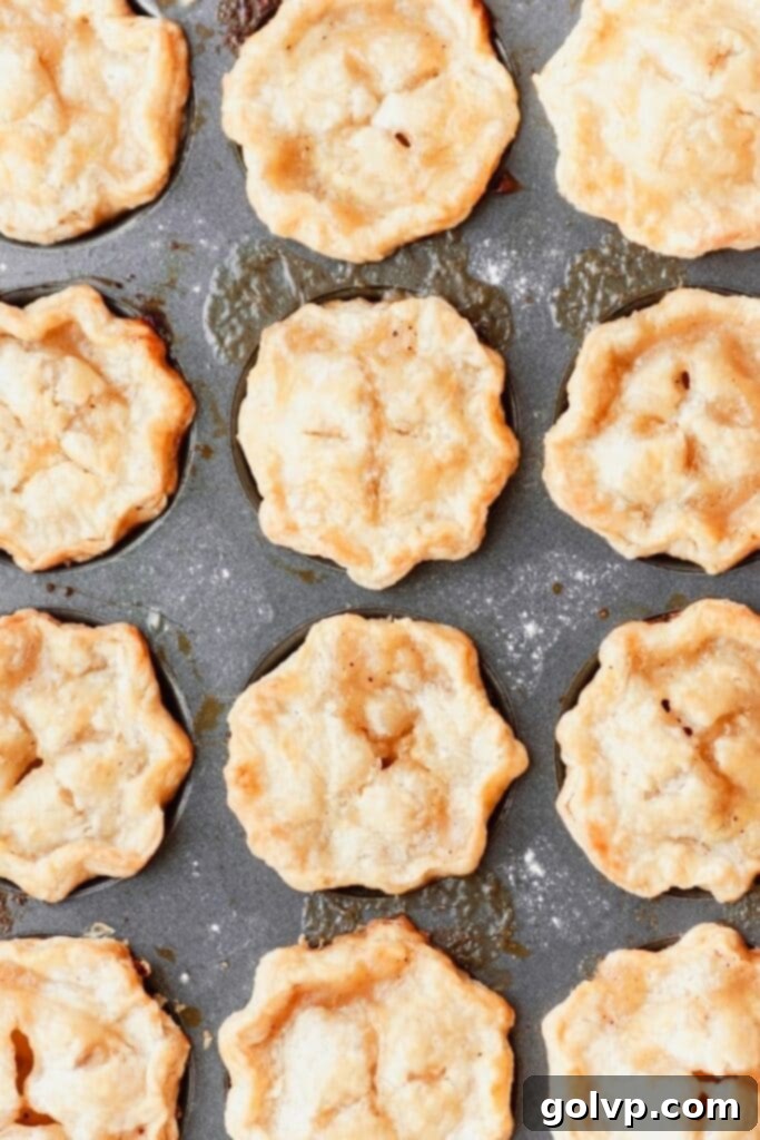 Close-up of mini apple pies nestled in a muffin tin before baking, showing the crimped edges.