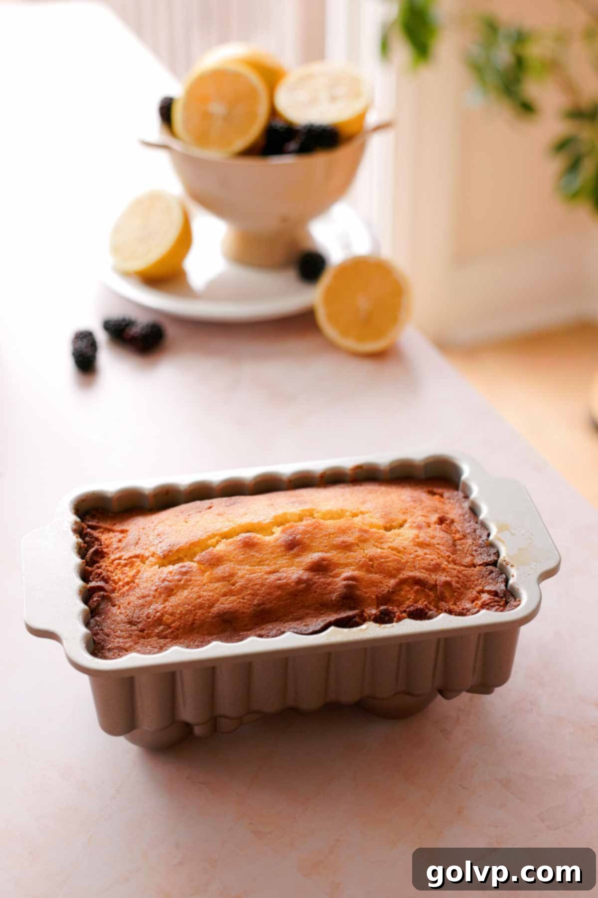 baked golden brown lemon pound cake cooling in the loaf pan