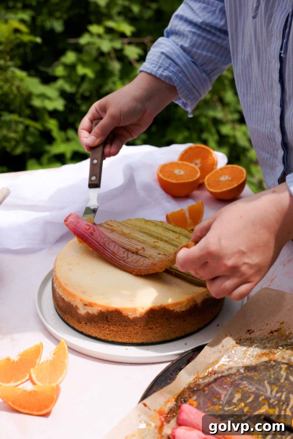 topping cheesecake with large stalks of roast rhubarb