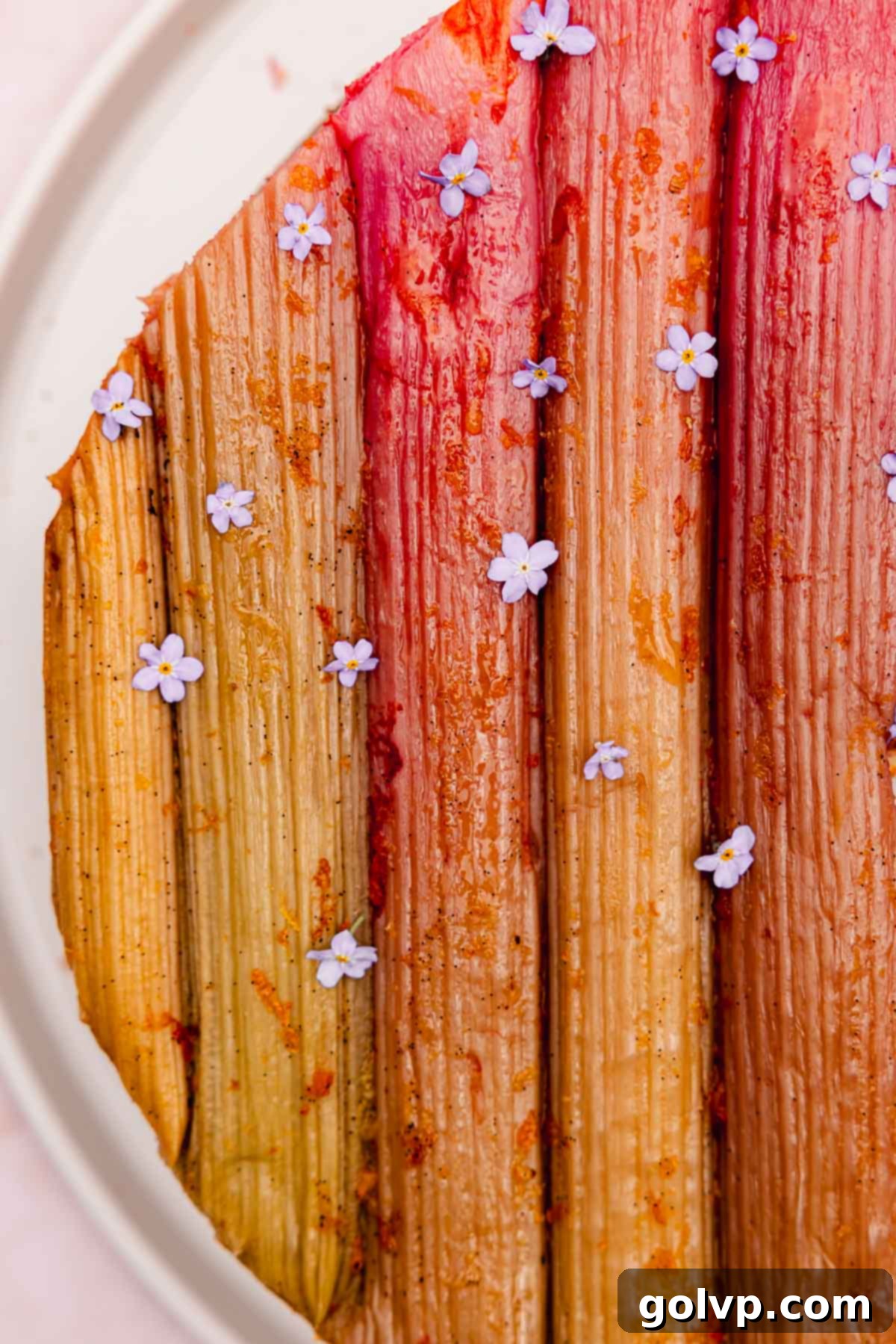 closeup of roasted rhubarb cheesecake topping with forget me not flowers