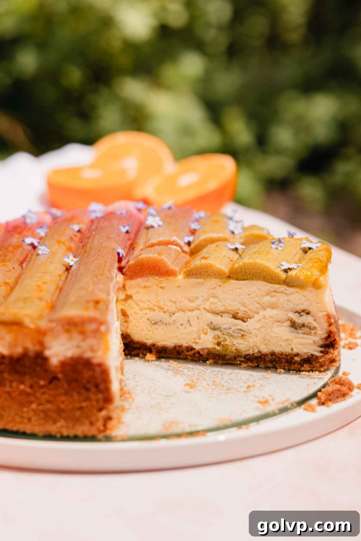 slice of rhubarb cheesecake on a plate