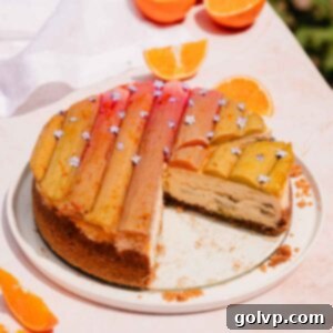 rhubarb cheesecake sliced on a large plate