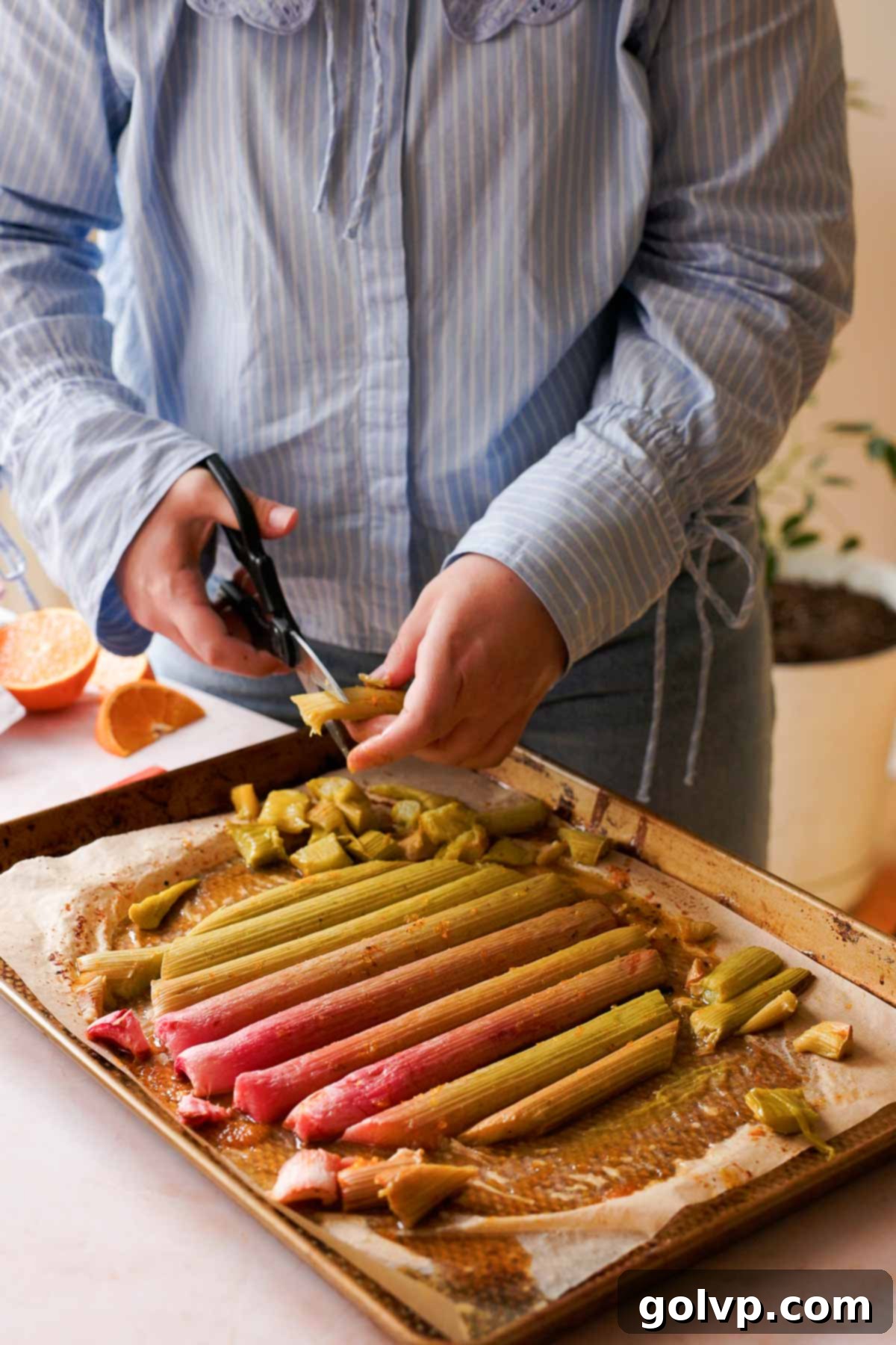 cutting excess rhubarb into pieces with scissors