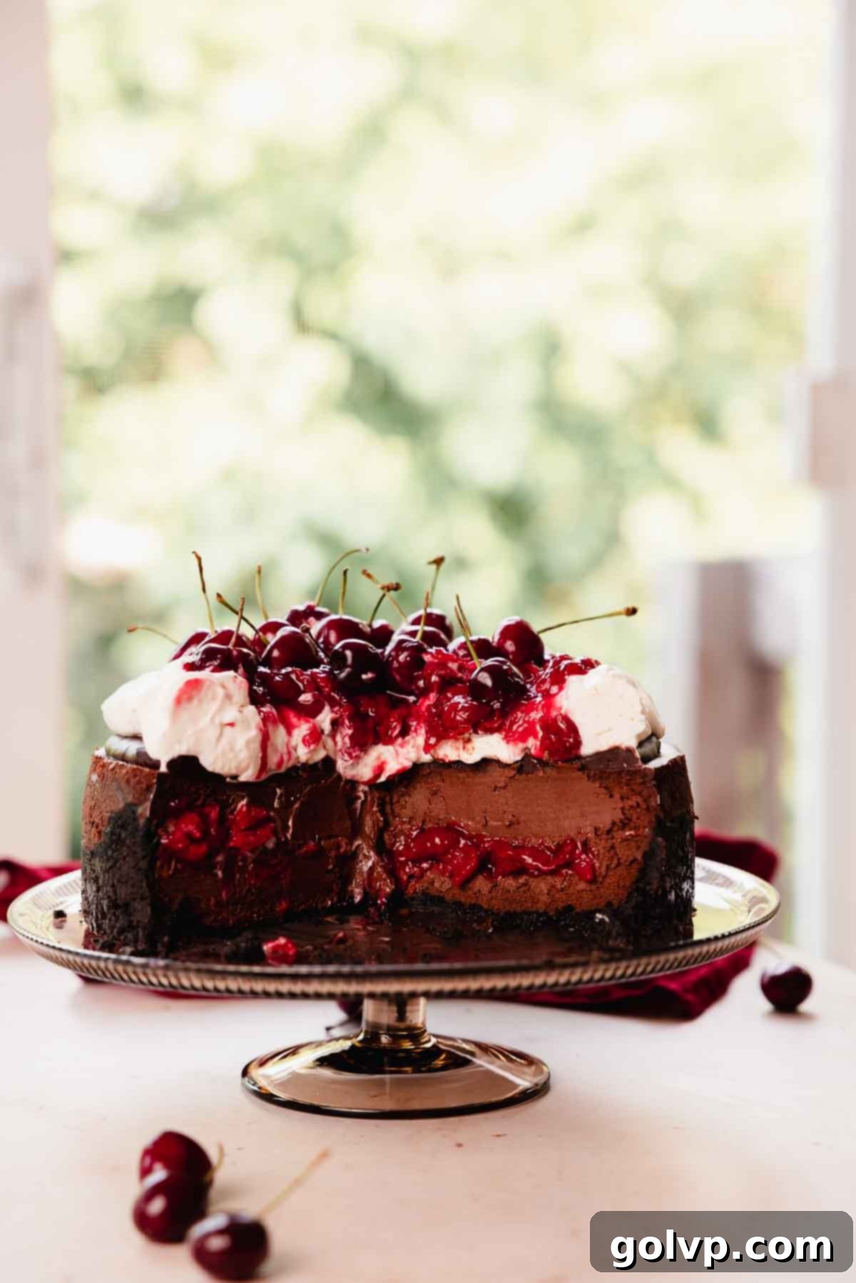 black forest cheesecake with cherries, whipped cream, and ganache