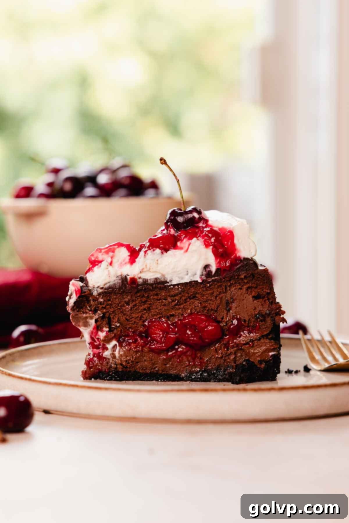slice of black forest cheesecake on plate with a fork