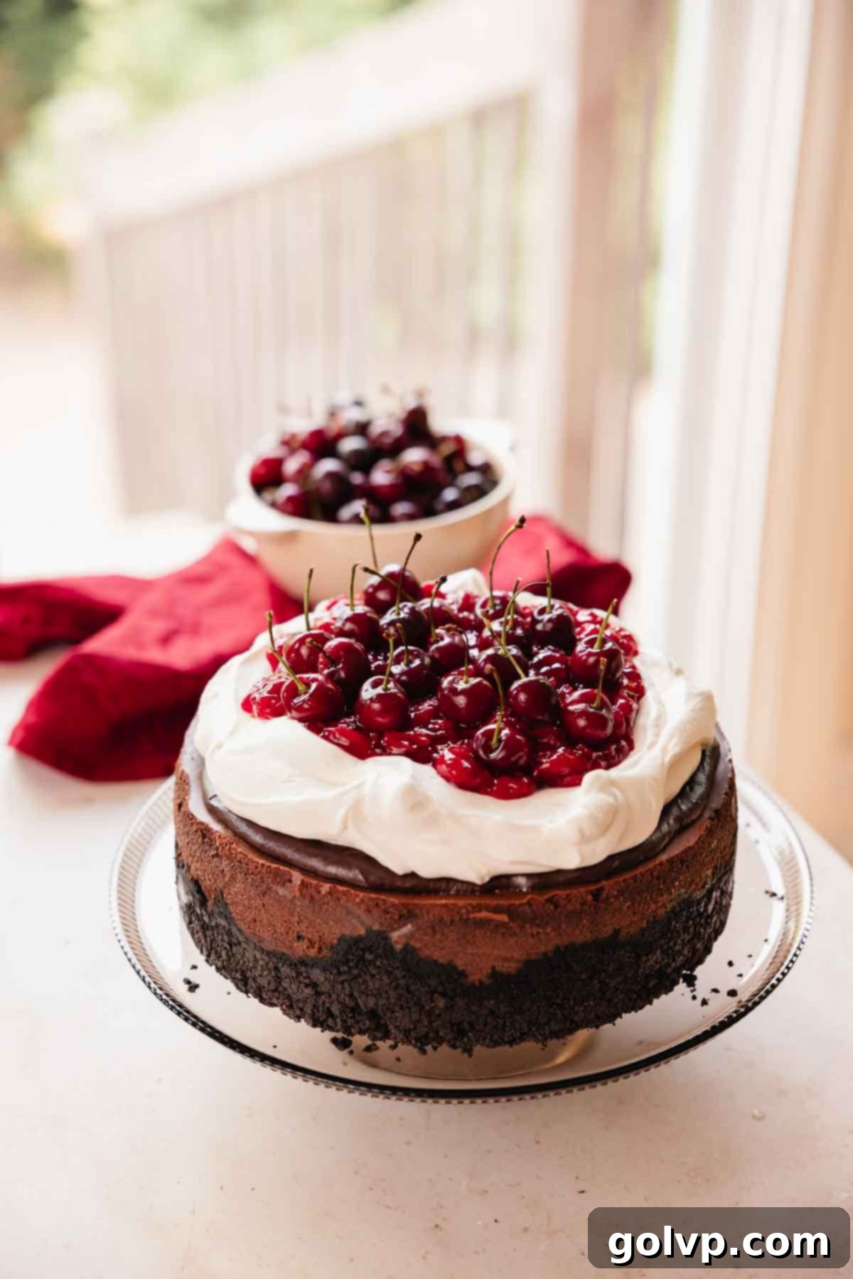 black forest cheesecake with cherry center, chocolate ganache, whipped cream, and fresh cherries on top