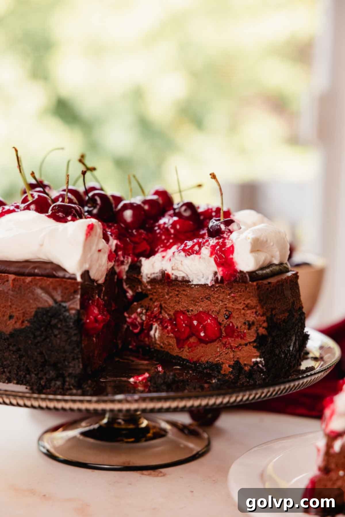 black forest cheesecake with cherry filling, whipped cream, chocolate ganache, and cherries