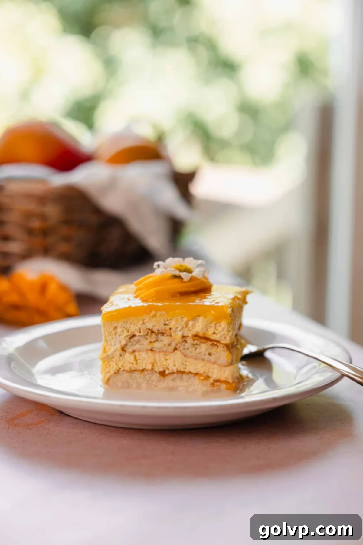 A perfect slice of mango tiramisu served on a white plate, showcasing its distinct layers of ladyfingers, creamy mascarpone filling, and golden mango puree, ready to be enjoyed.
