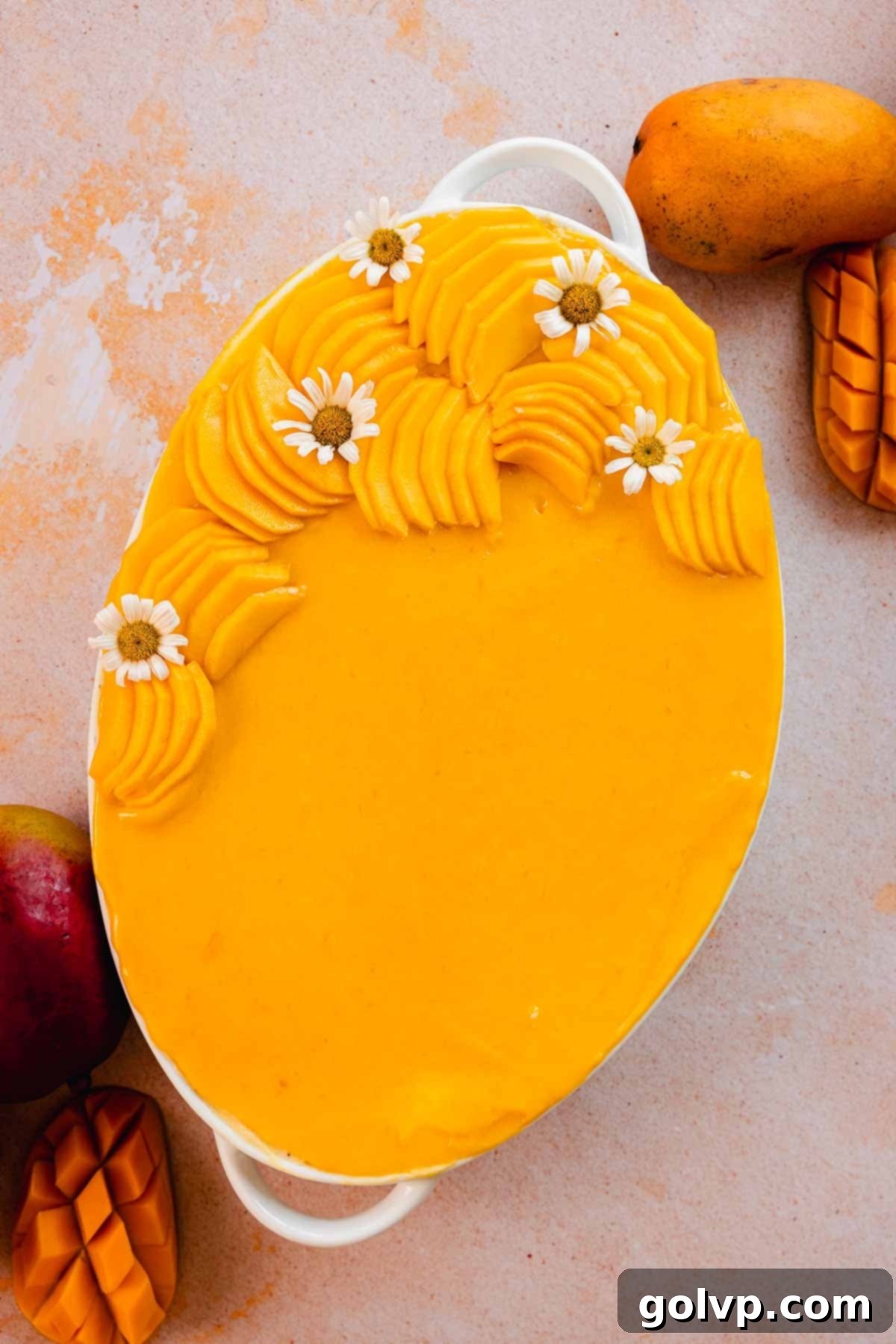 A close-up of the finished mango tiramisu in a white dish, elegantly garnished with fresh daisy-like edible flowers, ready to be enjoyed as a beautiful dessert.