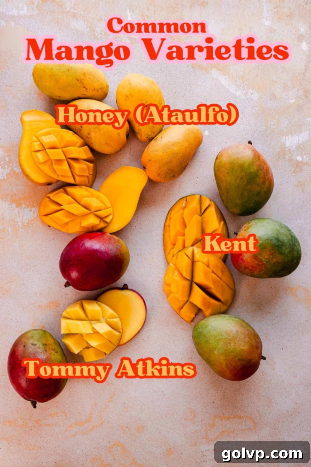 Three common mango varieties - Honey (Ataulfo), Tommy Atkins, and Kent - displayed whole and sliced, with labels for identification, showcasing their distinct characteristics.