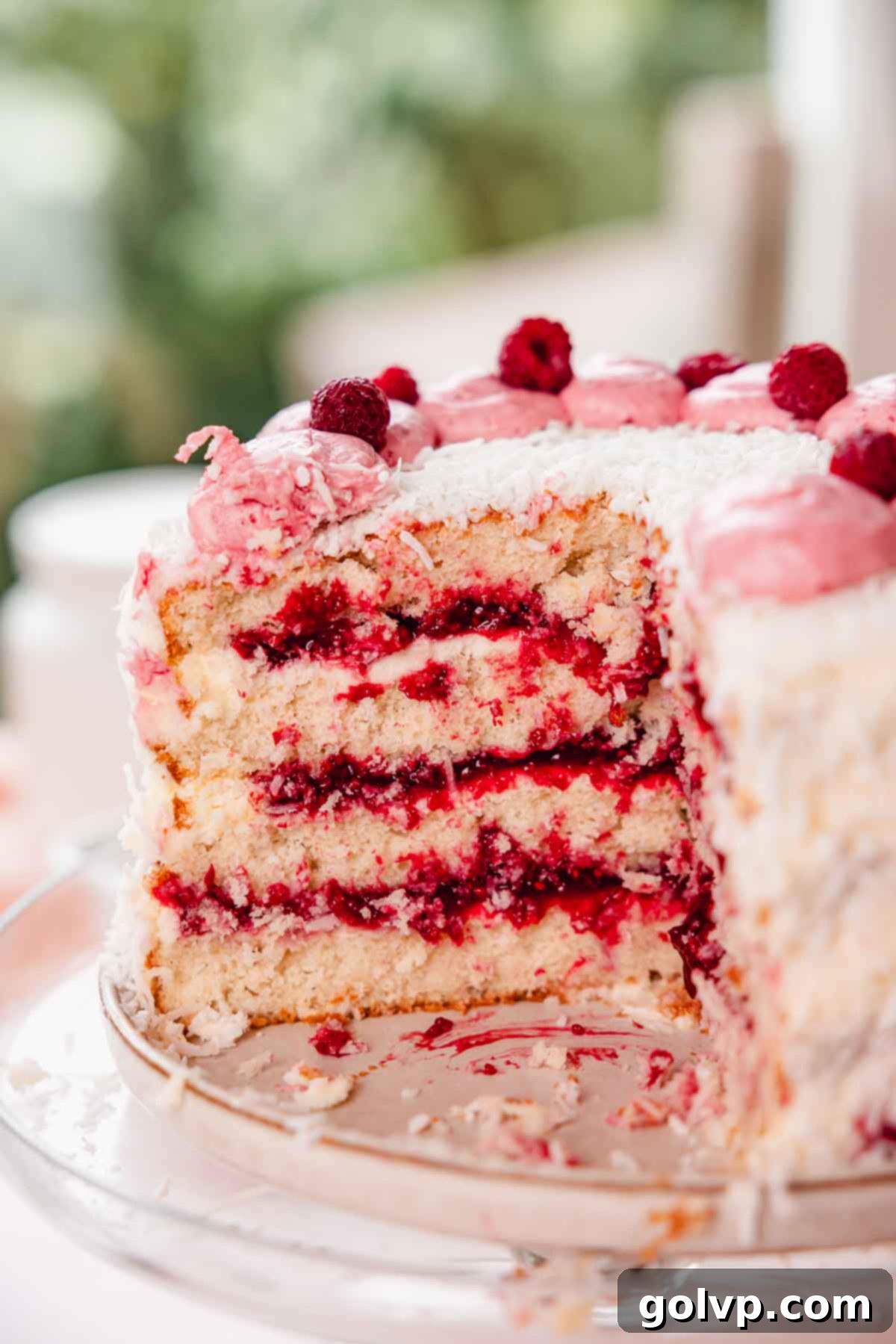 coconut layer cake with raspberry filling on cake stand