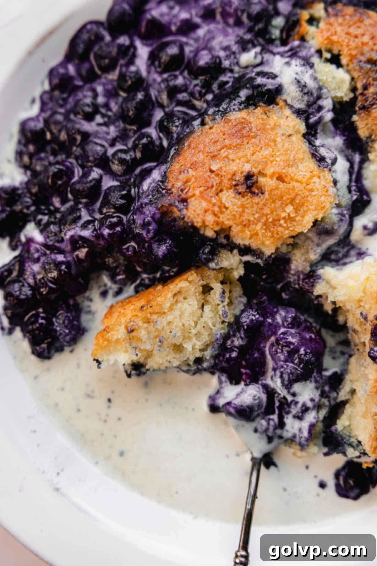 blueberry lemon cream cheese cobbler with ice cream