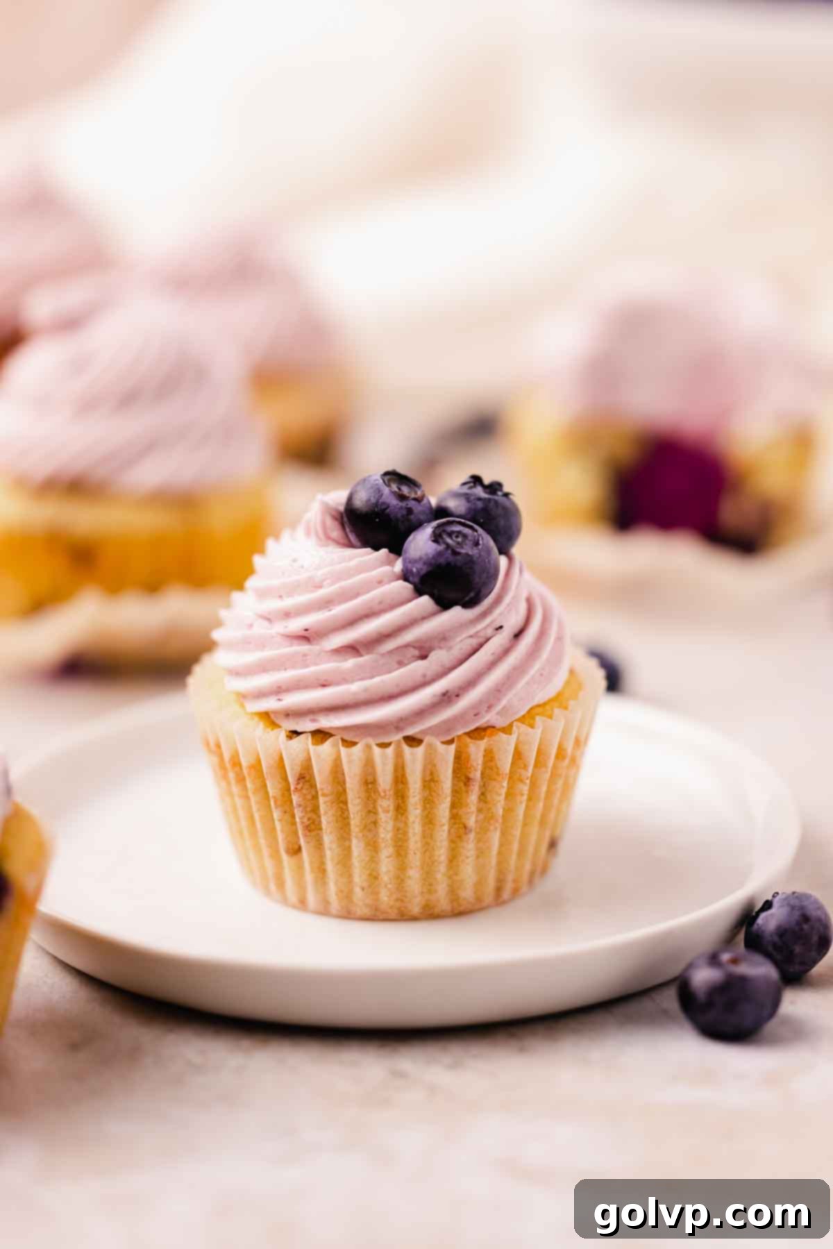 A single blueberry cupcake, filled with curd and topped with cream cheese frosting, resting on a small white plate.