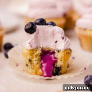 A delicious blueberry cupcake with blueberry curd filling and blueberry cream cheese frosting, garnished with fresh berries.