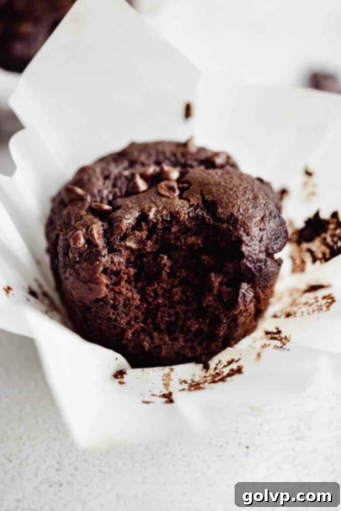 Plant-Powered Double Chocolate Muffins 3 a second close-up image of a bitten double chocolate muffin, showcasing its rich texture