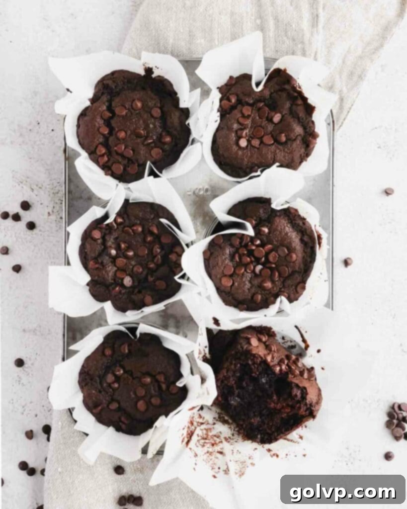 Plant-Powered Double Chocolate Muffins 7 muffin tray filled with freshly baked jumbo chocolate muffins