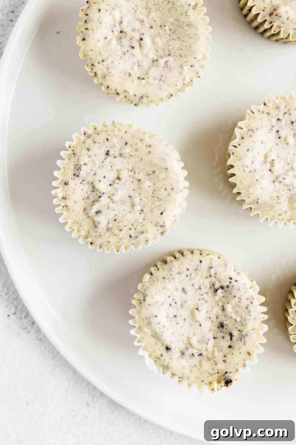 The baked and cooled mini Oreo cheesecakes, ready for topping.