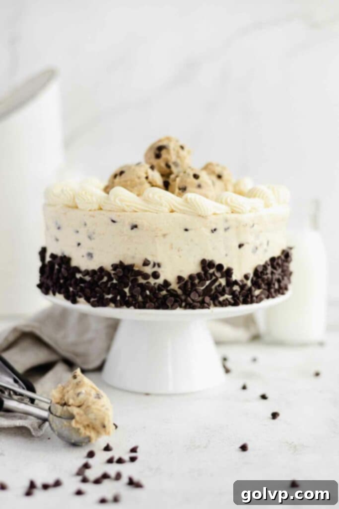 decorated cake with scoops of cookie dough, butter cream, and chocolate chips
