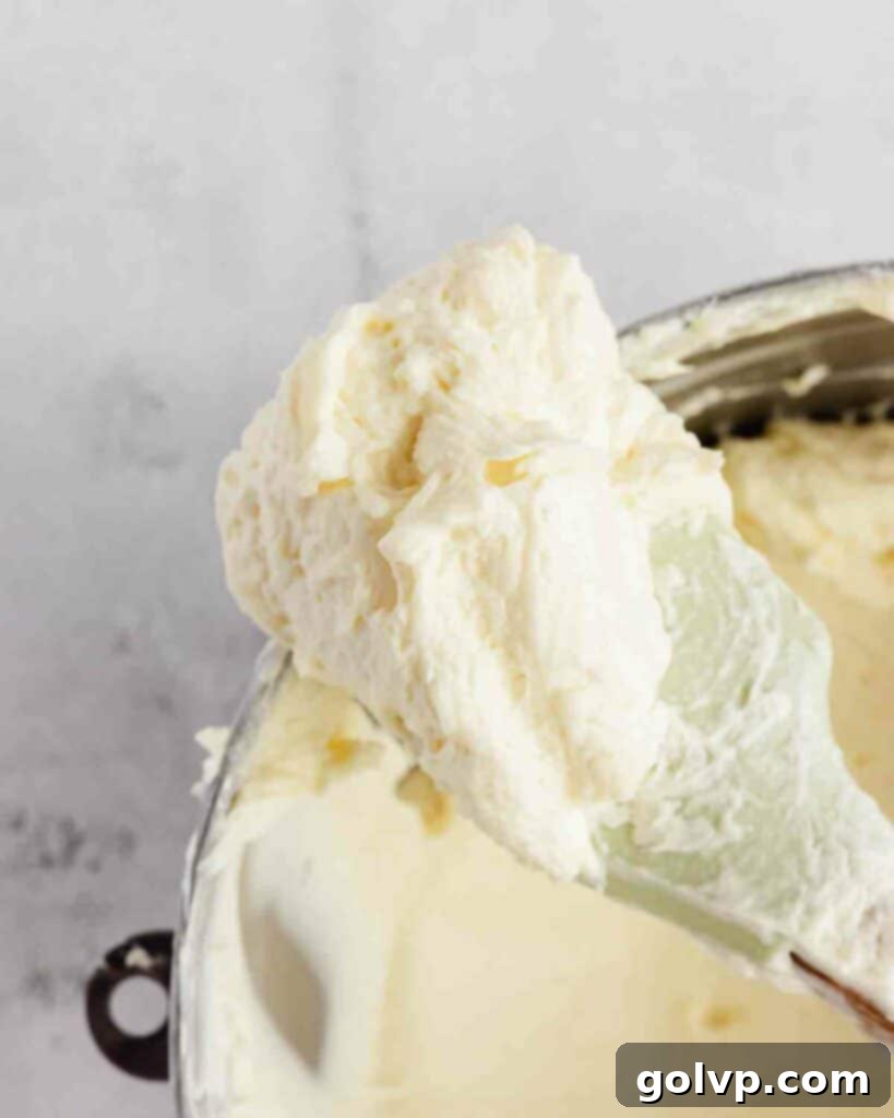 the prepared russian condensed milk buttercream, smooth and light