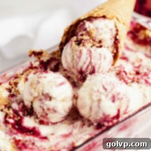 Loaf tin filled with raspberry swirl ice cream with graham crumbs and waffle cone