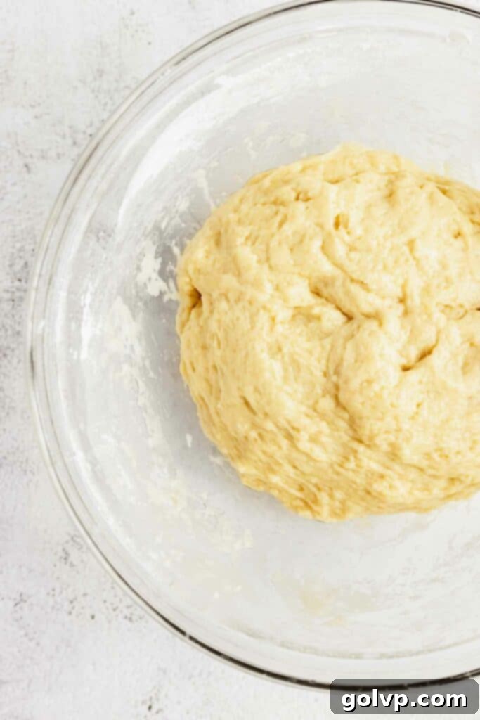 Easy No-Knead Chocolate Tahini Babka 9 Risen no-knead enriched dough in a bowl, showing it has doubled in size