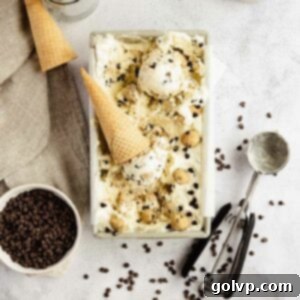 Brown Butter Cookie Dough No-Churn Ice Cream in a loaf pan, topped with cookie dough balls