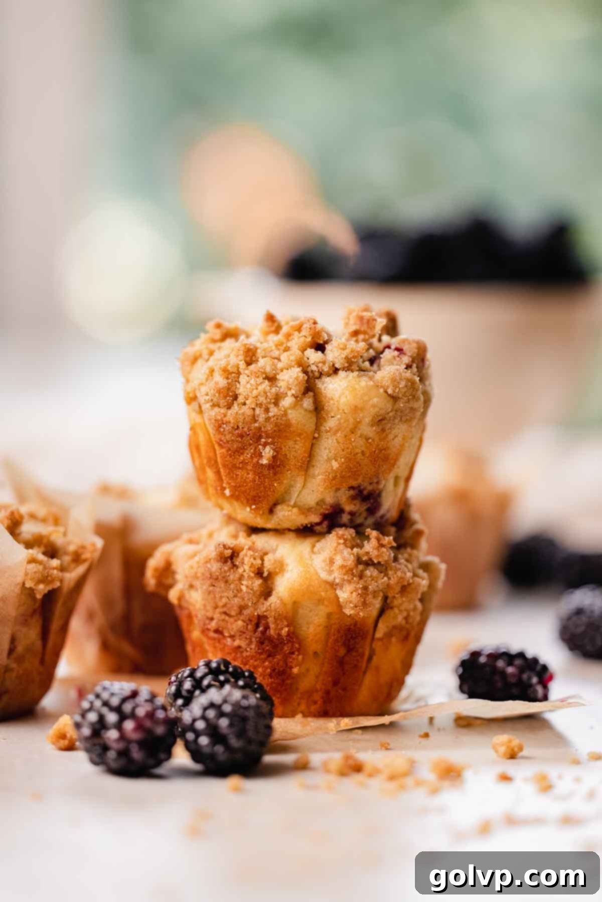 Two perfectly baked blackberry buttermilk muffins with crumble topping, stacked on each other.