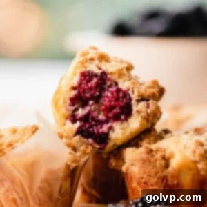 A delicious bakery-style buttermilk muffin filled with fresh blackberries and topped with a golden crumble, taken a bite out of.