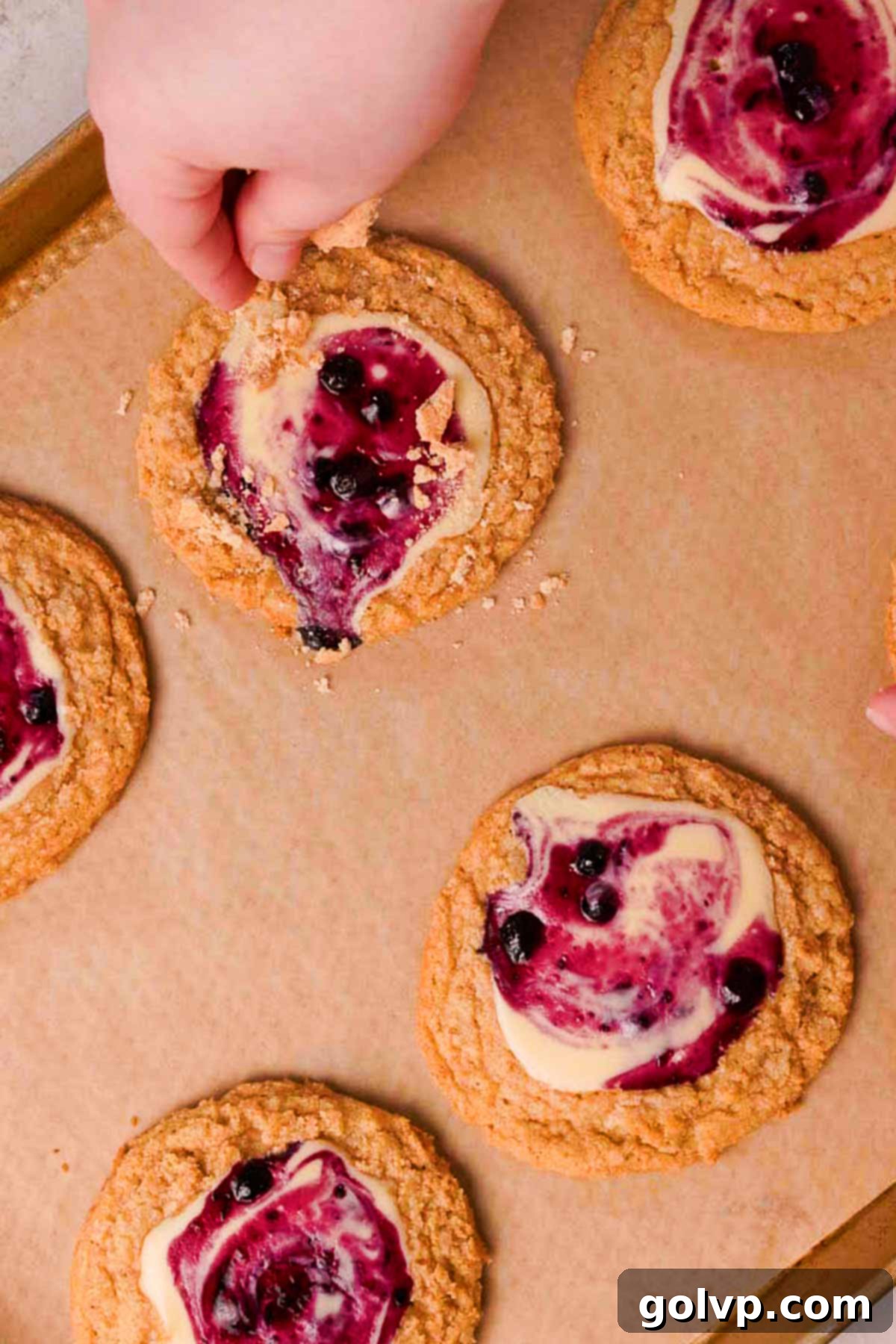 top blueberry cheesecake filled cookies with crushed graham crackers