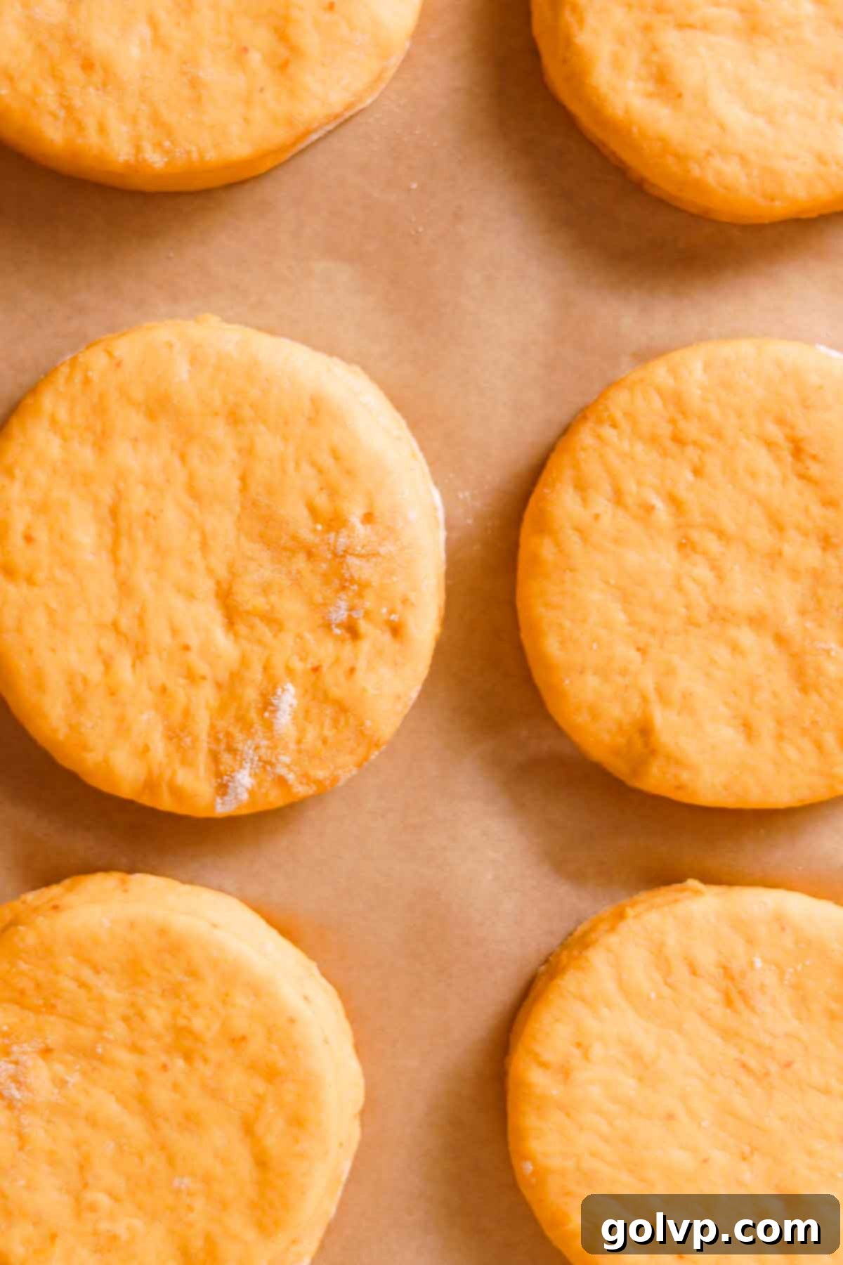 cut out rounds of pumpkin donut on parchment paper