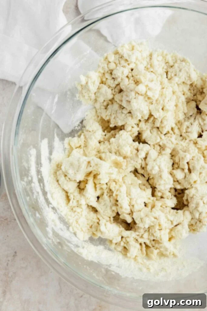 Shaggy pie dough just before being pressed into a disk and chilled.