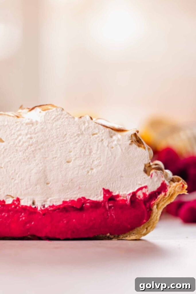 raspberry meringue pie cut in half closeup