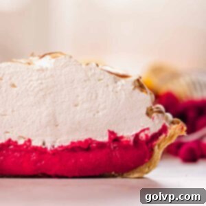 raspberry meringue pie cut in half closeup