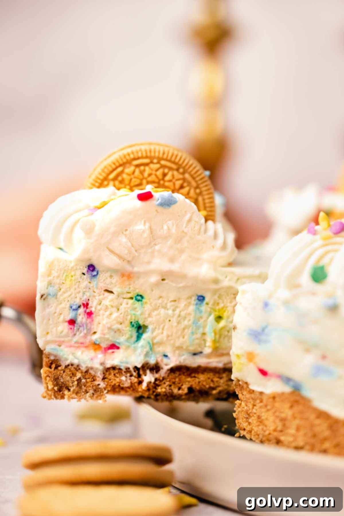 cheesecake with sprinkles inside, whipped cream, and golden oreo