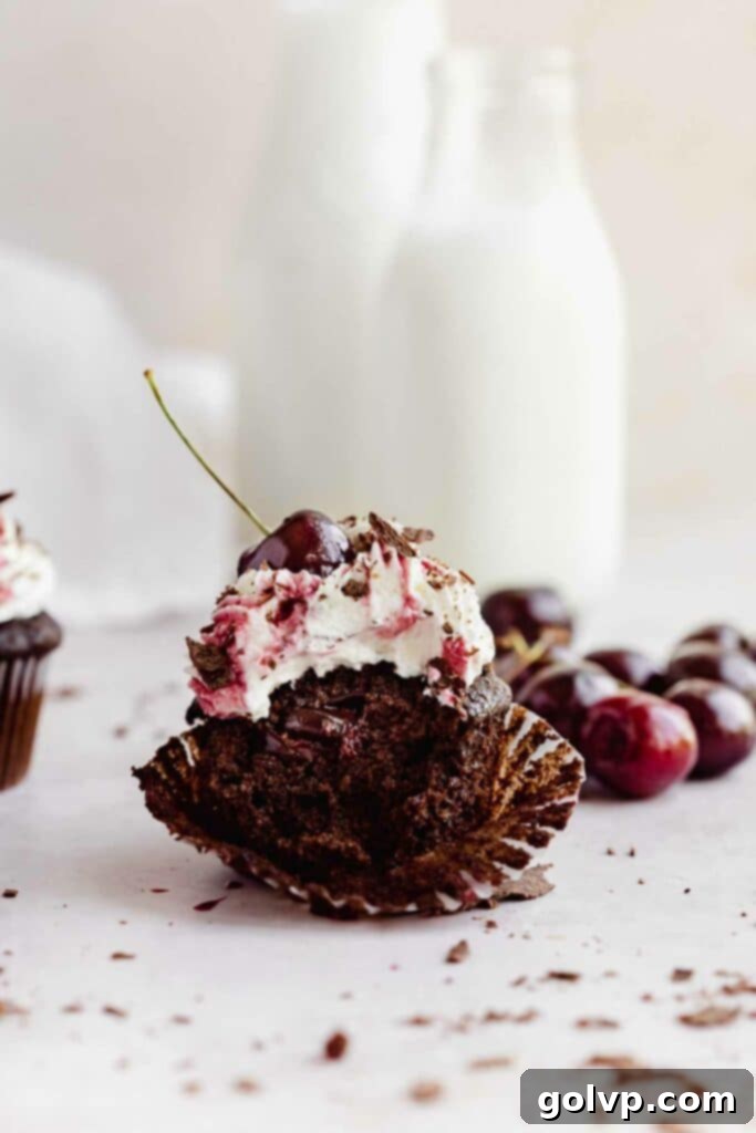 Decadent Black Forest Cupcakes 2 Bitten chocolate cupcake with jammy cherry filling, whipped cream, and a fresh cherry on top