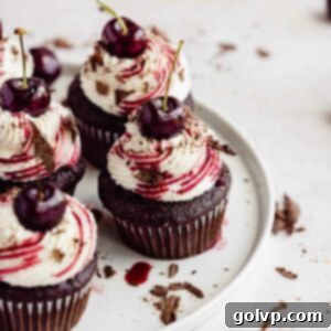 Decadent Black Forest Cupcakes 11 Black Forest cupcakes with a cherry on top on porcelain plate
