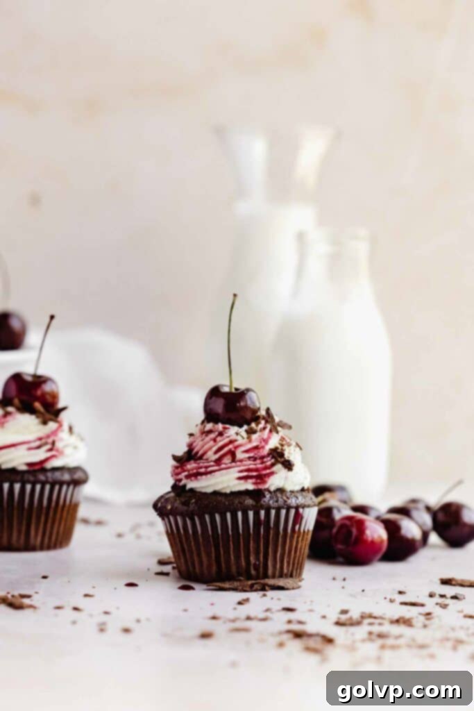 Decadent Black Forest Cupcakes 4 Black Forest cupcake topped with whipped cream, chocolate shavings, and a fresh cherry