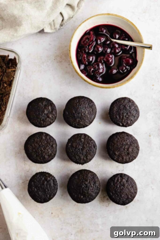 Decadent Black Forest Cupcakes 10 Ready-to-assemble black forest cupcakes, cooled in their tin