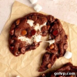 Double chocolate cookie broken in half with gooey marshmallow middle