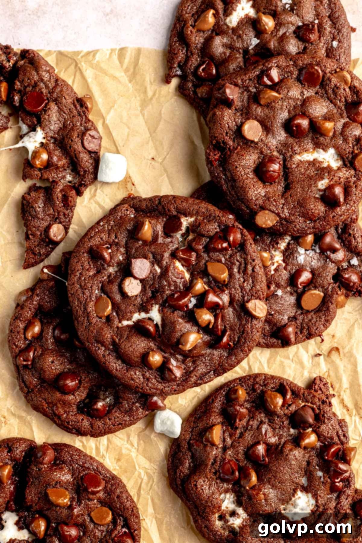marshmallow chocolate cookies on parchment paper with mini marshmallows
