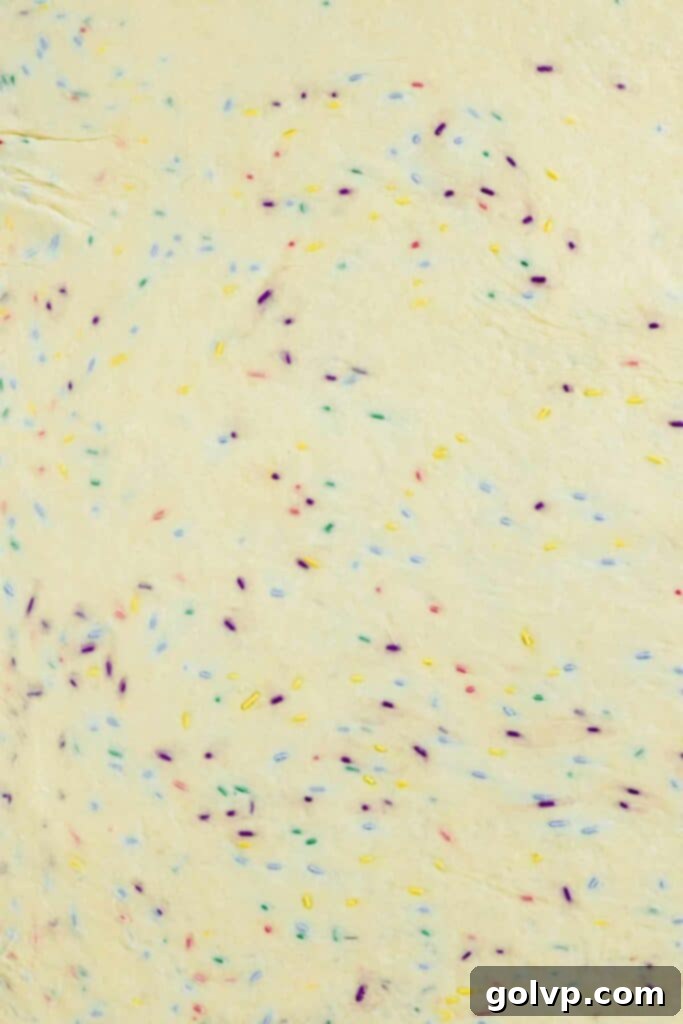 dough with sprinkles inside