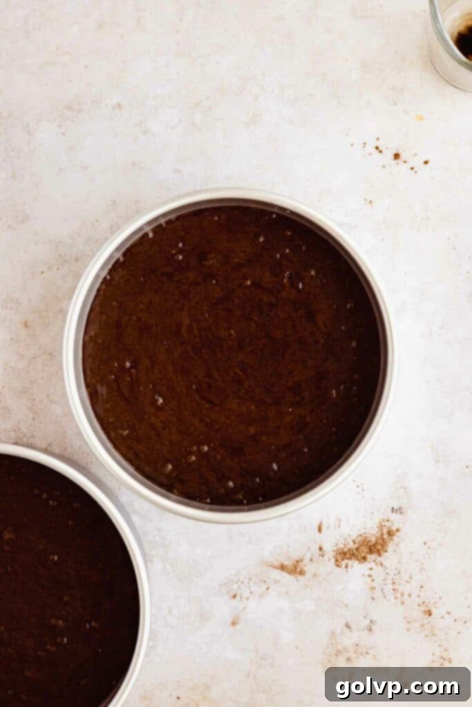 chocolate cake batter in cake pan