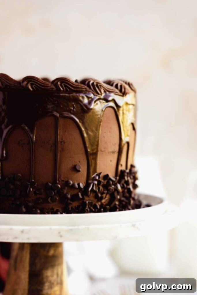 closup of side of chocolate drip on cake